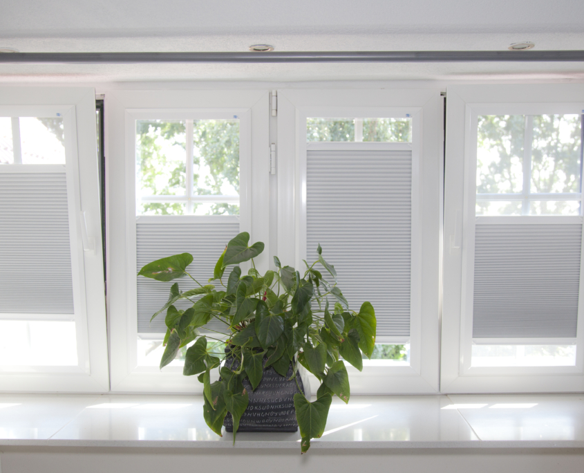 Aanblik Wormerveer - Kunststof kozijnen - horren in kunststof ramen - Keje splendid pliss horren & raamdecoratie Keje splendid pliss Aanblik Wormerveer - Kunststof kozijnen - horren in kunststof ramen - Keje splendid pliss horren & raamdecoratie Keje splendid pliss